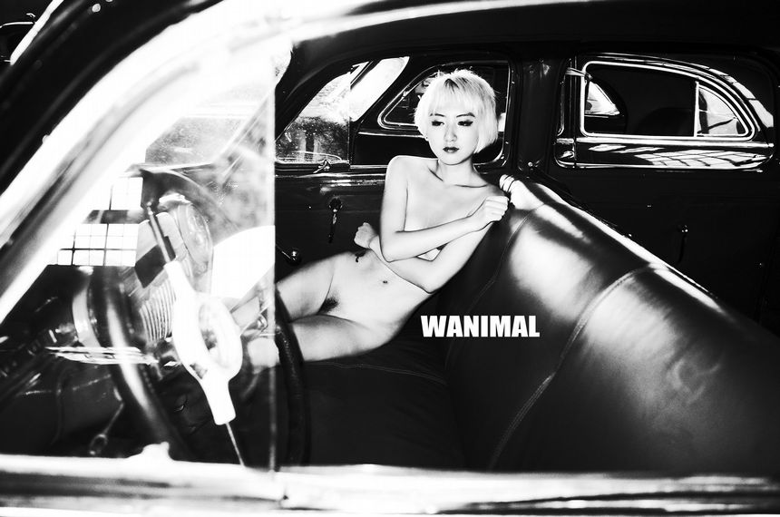 WANIMALٷƷ  [63P]  () 20197 1ҳ