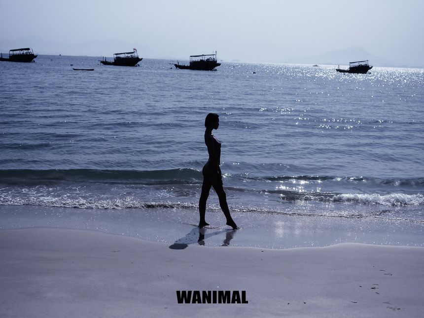 [63P]  () WANIMALٷƷ  20197 4ҳ