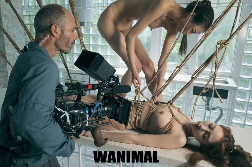 [112P] WANIMALƷ ͼ ʥ (ʮ) 1ҳ