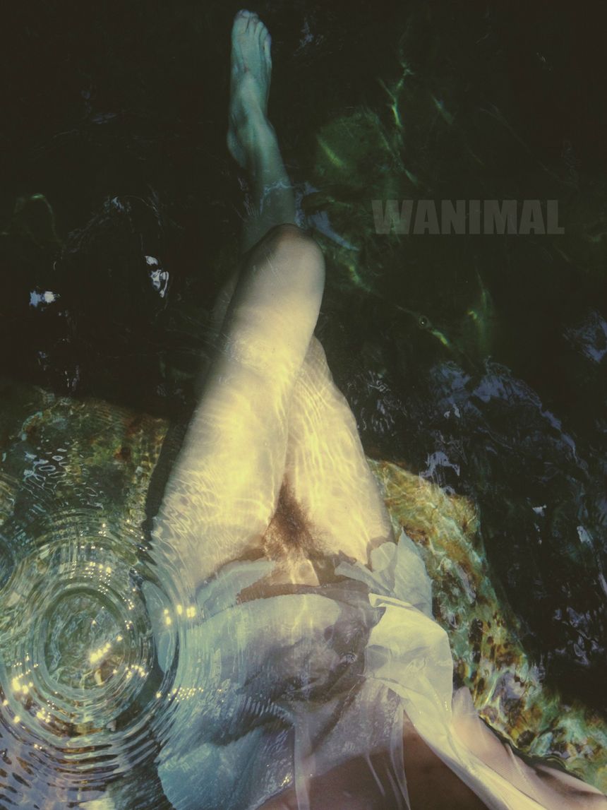 ʥ WANIMALƷ (ʮ) [100P] ͼ 1ҳ